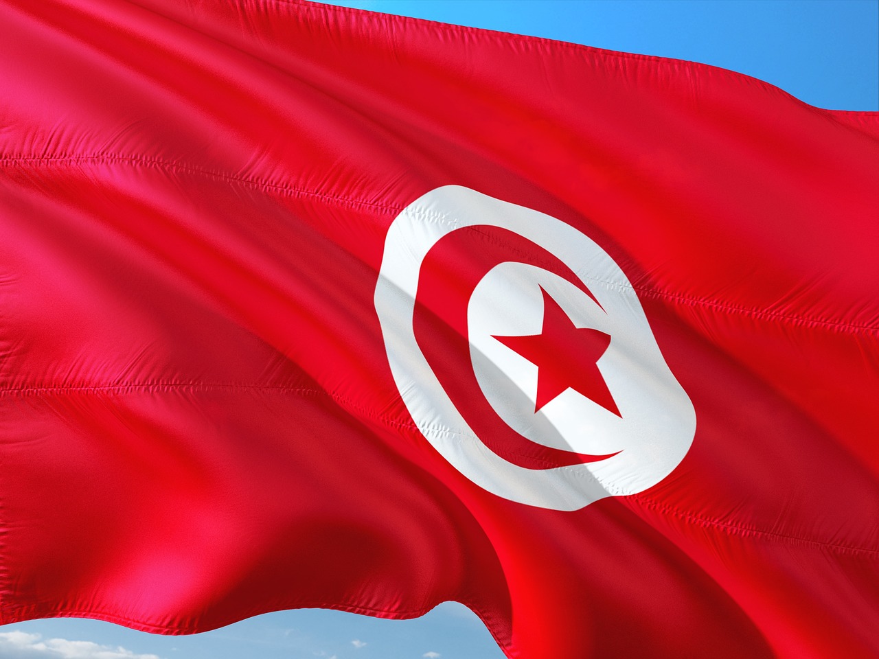Tunisia insurance company federation announces agency to combat insurance fraud